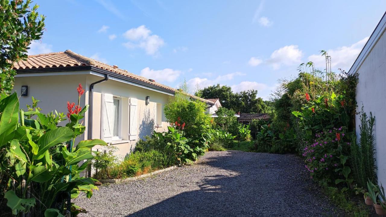 Maison Bassin D'Arcachon Гужан-Местрас Екстериор снимка